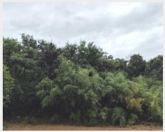  2024Ÿ��20082  �Ӿ߰��