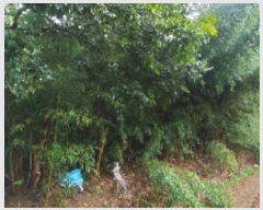  2024Ÿ��20082  �Ӿ߰��