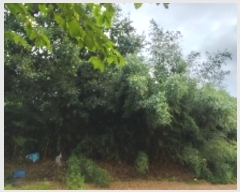  2024Ÿ��20082  �Ӿ߰��