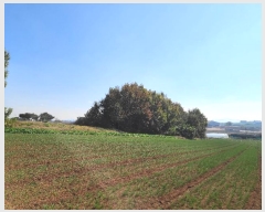  2024Ÿ20983 泲 걺 žϸ  25-25      (Ӿ)