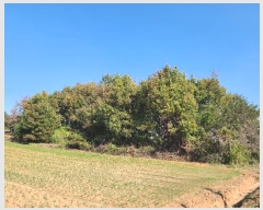  2024Ÿ20983 泲 걺 žϸ  25-25      (Ӿ)