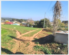  2024Ÿ20983 泲 걺 žϸ  25-25      (Ӿ)