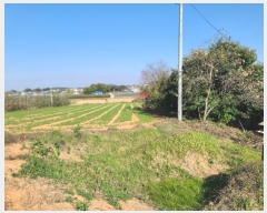  2024Ÿ20983 泲 걺 žϸ  25-25      (Ӿ)