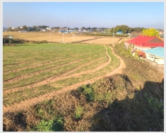  2024Ÿ20983 泲 걺 žϸ  25-25      (Ӿ)