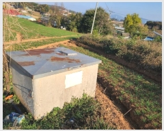  2024Ÿ20983 泲 걺 žϸ  25-25      (Ӿ)