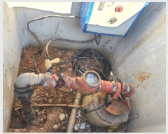  2024Ÿ20983 泲 걺 žϸ  25-25      (Ӿ)