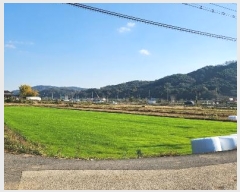  2024Ÿ��21030  ����