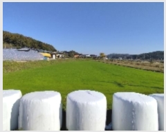  2024Ÿ��21030  ����