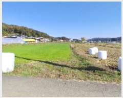  2024Ÿ��21030  ����