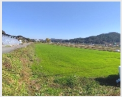  2024Ÿ��21030  ����