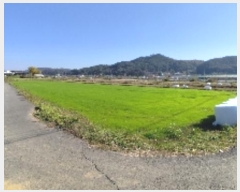  2024Ÿ��21030  ����