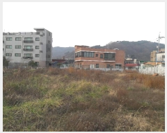  2024Ÿ��21306  ����