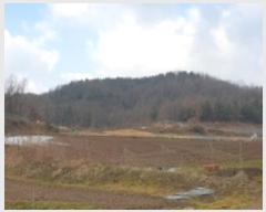  2024Ÿ��21986  �����