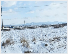  2024Ÿ��71 �泲 ���걺 ����� �󰡸� 399-5      ����(��)���