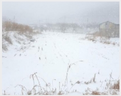  2024Ÿ��71 �泲 ���걺 ����� �󰡸� 399-5      ����(��)���