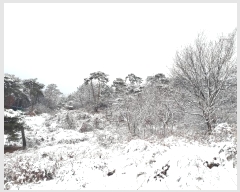  2024Ÿ��3964 �泲 ȫ���� ���׸� ������ 187-17      ����(�Ӿ�)���