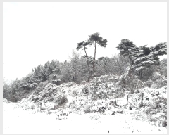  2024Ÿ��3964 �泲 ȫ���� ���׸� ������ 187-17      ����(�Ӿ�)���