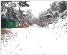  2024Ÿ��3964 �泲 ȫ���� ���׸� ������ 187-17      ����(�Ӿ�)���