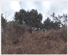  2024Ÿ��3964 �泲 ȫ���� ���׸� ������ 187-17      ����(�Ӿ�)���