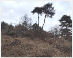  2024Ÿ��3964 �泲 ȫ���� ���׸� ������ 187-17      ����(�Ӿ�)���