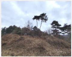  2024Ÿ��3964 �泲 ȫ���� ���׸� ������ 187-17      ����(�Ӿ�)���