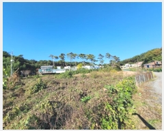  2024Ÿ21238 泲 ɽ õ 縮 68      (1)