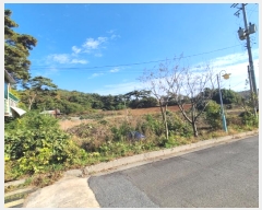  2024Ÿ21238 泲 ɽ õ 縮 68      (1)