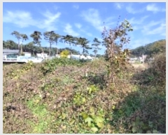  2024Ÿ21238 泲 ɽ õ 縮 68      (1)