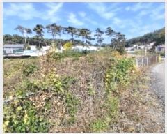  2024Ÿ21238 泲 ɽ õ 縮 68      (1)