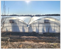  2024Ÿ12 泲 ο ̸  382-7      ð