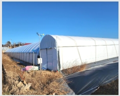  2024Ÿ12 泲 ο ̸  382-7      ð