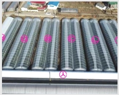  2024Ÿ12 泲 ο ̸  382-7      ð