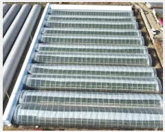  2024Ÿ12 泲 ο ̸  382-7      ð