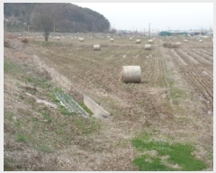  2024Ÿ��449 �泲 ����� ���굿 438-7       ����(��)���