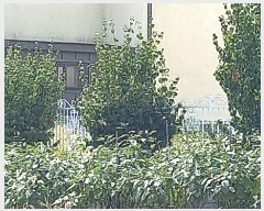  2024Ÿ��1046 �泲 ����� ���굿 100-10       ���ð��