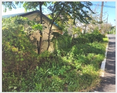  2024Ÿ1497 泲   Ƚɸ 1126-19      (ķ)