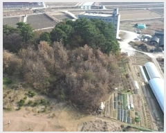  2024Ÿ��1817 �泲 ����� ���굿 318-3       ����(��1)���