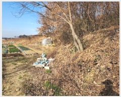  2024Ÿ��1817 �泲 ����� ���굿 318-3       ����(��1)���