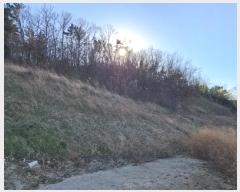  2024Ÿ��1886 �泲 ����� �ùη� 318, 4��503ȣ      ����Ʈ���