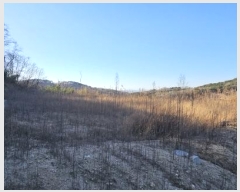  2024Ÿ��1886 �泲 ����� �ùη� 318, 4��503ȣ      ����Ʈ���