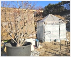  2024Ÿ��1886 �泲 ����� �ùη� 318, 4��503ȣ      ����Ʈ���