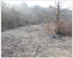  2024Ÿ1923 泲   ù 724-3      ()