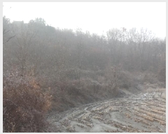  2024Ÿ1923 泲   ù 724-3      ()