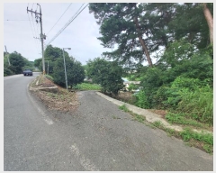  2024Ÿ21927 泲 ο  û۸ 658-1      ð