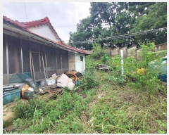  2024Ÿ21927 泲 ο  û۸ 658-1      ð