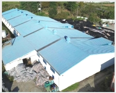  2024Ÿ22630 泲    494      