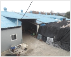  2024Ÿ22630 泲    494      