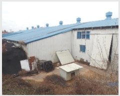  2024Ÿ22630 泲    494      