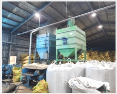  2024Ÿ22630 泲    494      