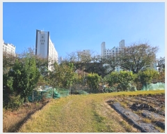  2024Ÿ22661 泲  ϵ 139-56       (Ӿ)